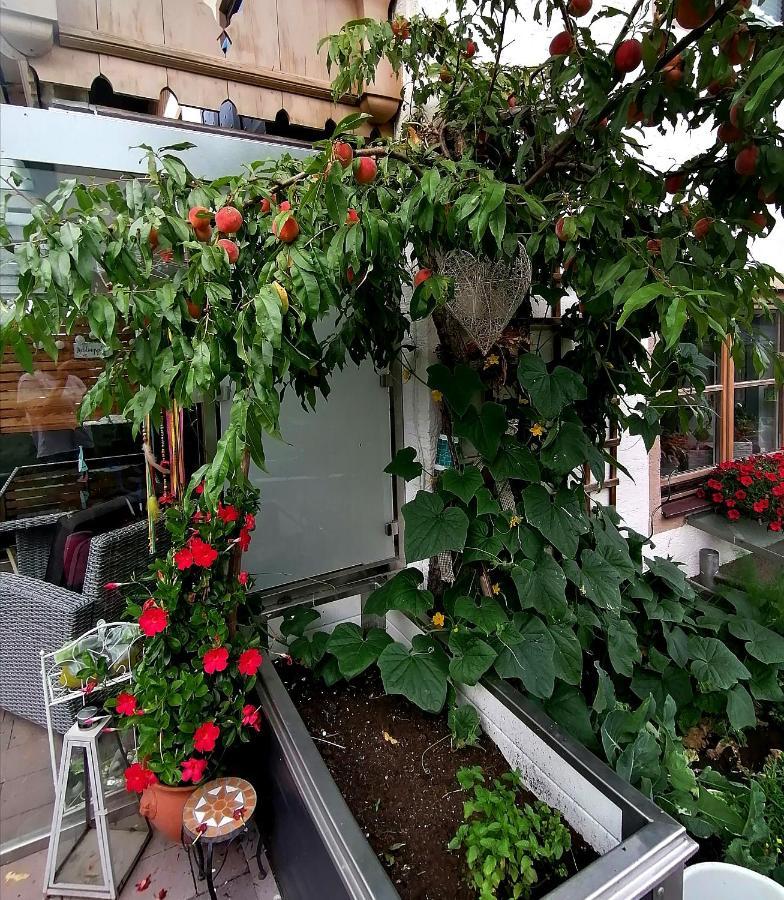 Boutique - Tauernblick Walchen