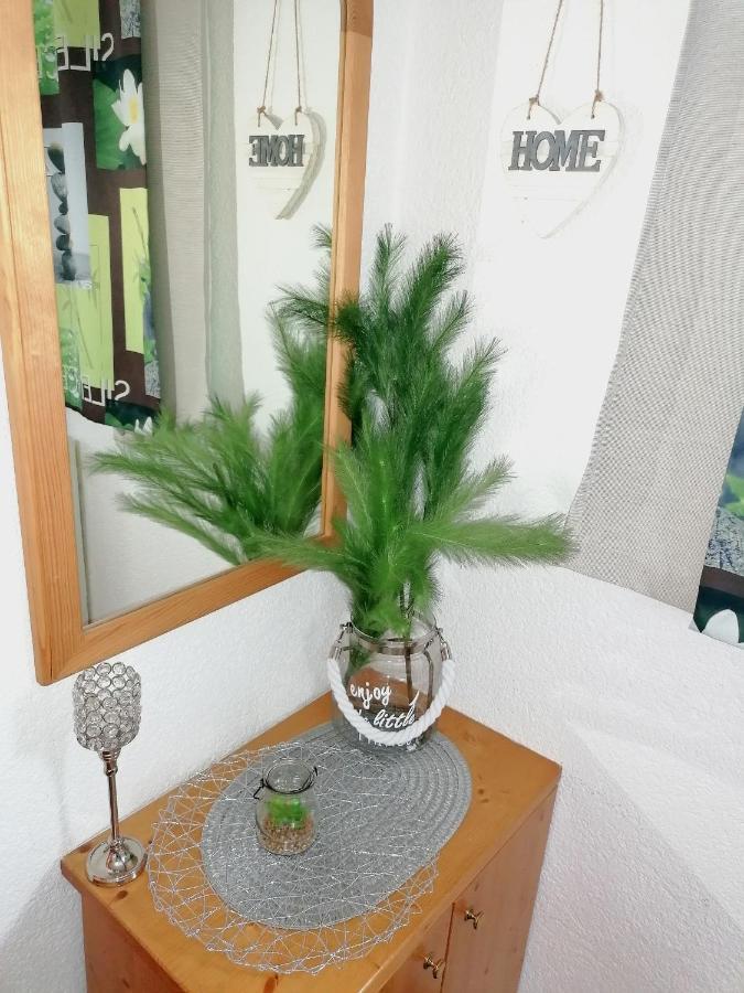 Apartment Boutique - Tauernblick Walchen